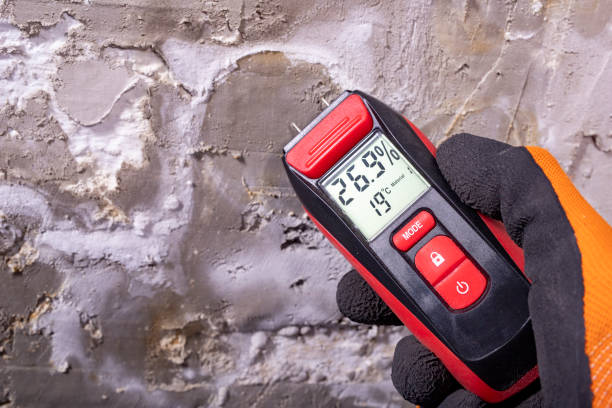 Best Mold Damage Repair  in Gloucester City, NJ