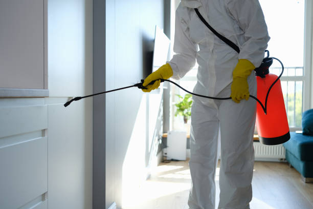 Best Professional Mold Removal  in Gloucester City, NJ